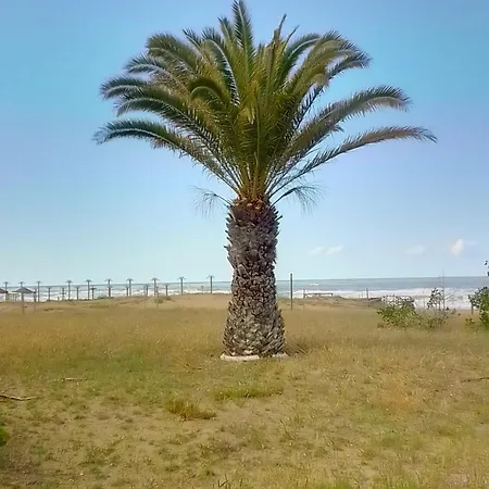 Bellissimo Fronte Mare Silvi Paese